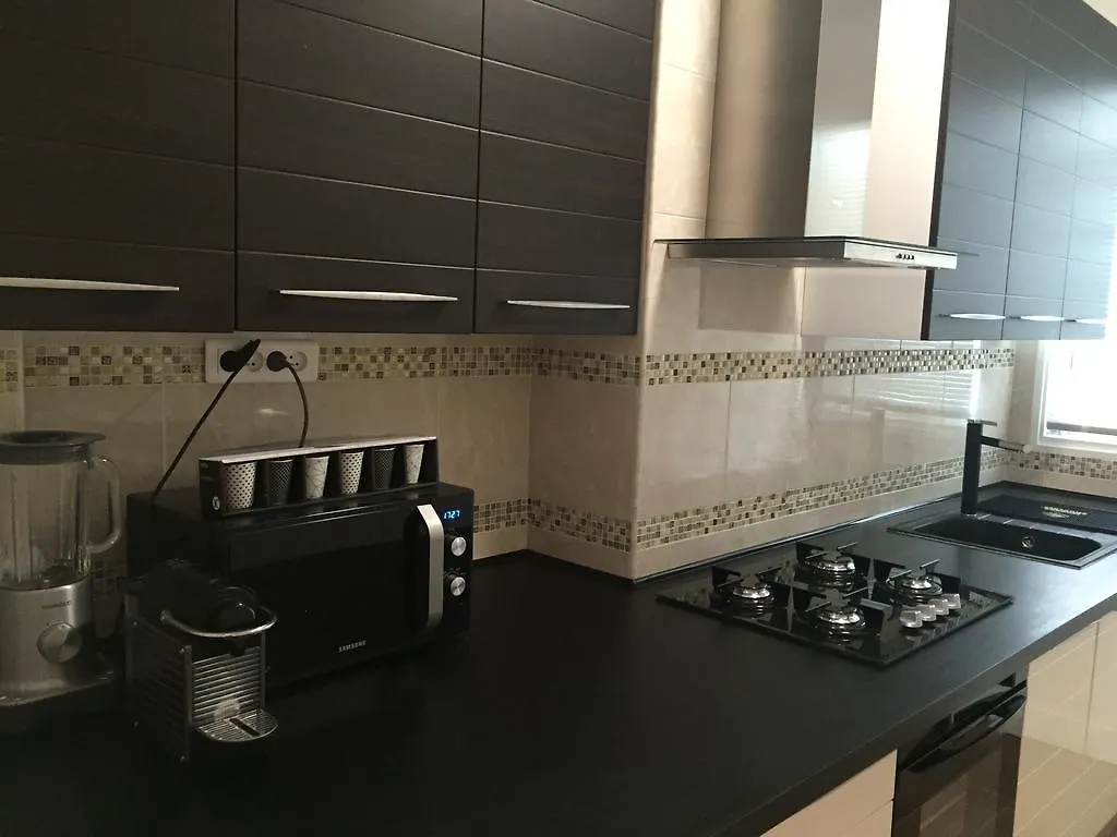 Emotion Vip Apartment Nice